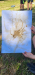 20250619_102037
